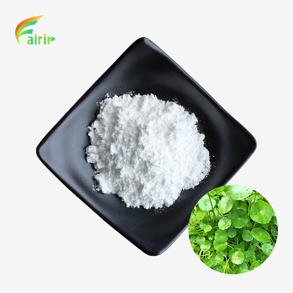 Gotu Kola Extract Powder